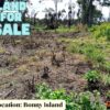 LAND FOR SALE IN BONNY
